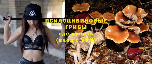 прущие крисы Белоозёрский