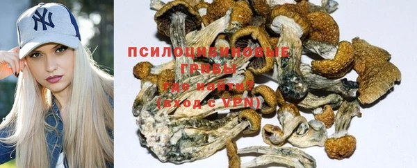 каннабис Белокуриха